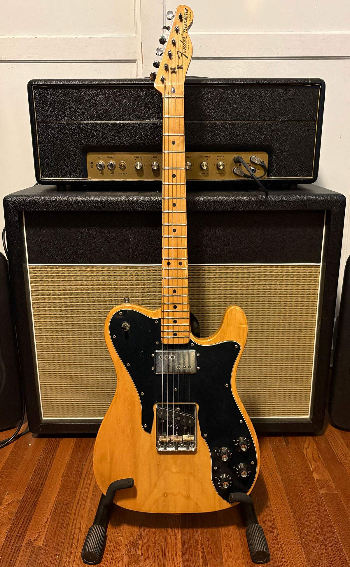 Brett Gurewitz's 1976 Fender Telecaster Custom